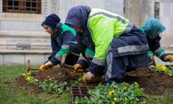 Bursa kışın da çiçek bahçesine dönüşüyor