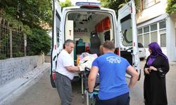 Büyükşehir şifa dağıtıyor