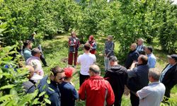 Büyükşehir'in 2025 tarım raporu: 810 noktada toprak analizi yapıldı