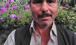 Çanakkale'de besici ahırda ölü bulundu