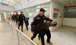 IŞİD ve El Kaide operasyonunda 11 şüpheli adliyeye sevk edildi