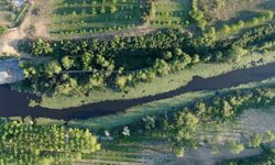 Doğanın kalbi Sakarya'da attı: İki yeşil noktaya 605 bin ziyaretçi