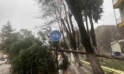 Dursunbey'de fırtına ağaçları ve çatıları uçurdu