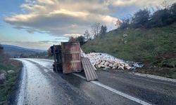 Gönen-Denizkent yolunda kamyon devrildi