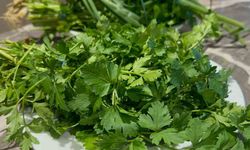 C vitaminini yanlış besinde aramayın