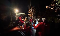 İNDAK'tan başarılı hayvan kurtarma operasyonu