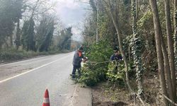 İstanbul için lodos uyarısı: Kuvvetli fırtına etkili olacak