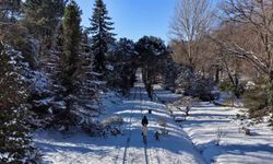 İstanbul'da kar göremeyenler Atatürk Arboretumu'na geldi