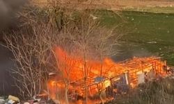 Karacabey'de ağıl alev alev yandı