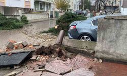 Kocaeli'de şiddetli rüzgar 12 metrelik ağacı devirdi: Yol trafiğe kapandı