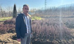 Kurulan her meyve bahçesinde 'Bursa' imzası var