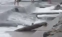 Kuvvetli lodos Caddebostan Sahili'i vurdu, denize giren 3 kişi hastanelik oldu