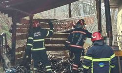 Odunluktaki yangın eve sıçramadan söndürüldü
