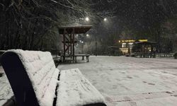 Sakarya'da lapa lapa kar yağışı...