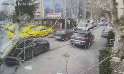 Çınar ağacı otomobilin üzerine devrildi: O anlar kamerada
