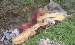 At kesimi yapan 2 kişiye gözaltı!