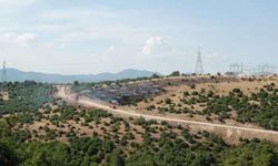 Kaz Dağı’nda yeni altın madeni için ÇED başvurusu