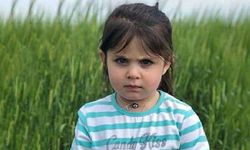 Leyla Aydemir davası: Amca tutuklandı