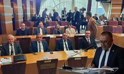 CHP'den Serdivan Belediyesi'ne soru yağmuru