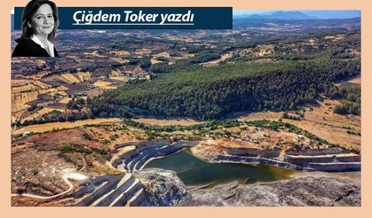 Zeytinlikleri yok etmek kamu yararıymış