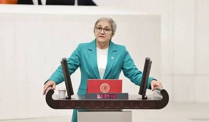 Sapanca Gölü tehlikede: “İçme suyu kaynağımız göz göre göre kuruyor”