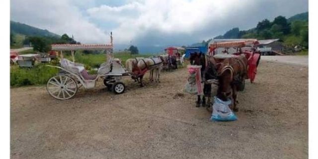 Abant Milli Parkı’nda fayton yasaklandı