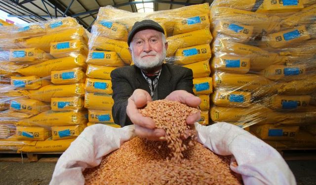 Kocaeli'de çiftçilere tohum desteği
