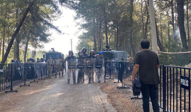 TOD Başkanı: Akbelen'de 65 bin ağacın kesildiği anlaşılıyor