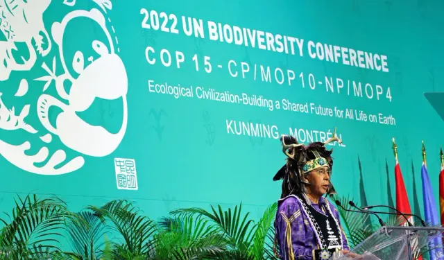 Türkiye COP16'ya ev sahipliği yapamayacağını bildirdi