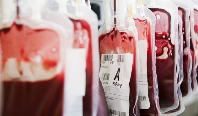 ABD'de eşcinsel ve biseksüel erkekler kan bağışı yapabilecek