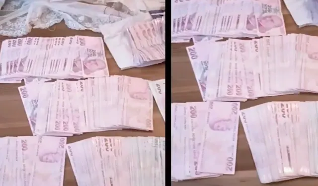 42 ilde FETÖ operasyonu: 169 gözaltı!