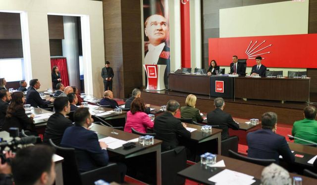 CHP'den sokak hayvanları için yeni adım