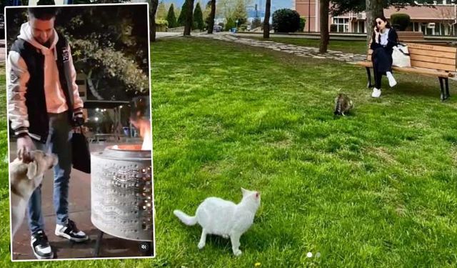 O güzellikler ne zaman tehdit oldu Rektör Bey?