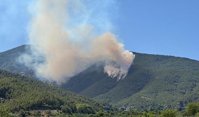 OGM:Orman yangınları kontrol altına alındı