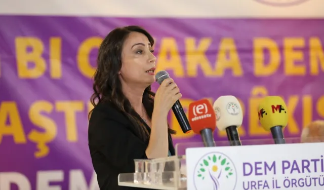 DEM Parti: Lafla peynir gemisi yürümez, zaman icraat zamanıdır