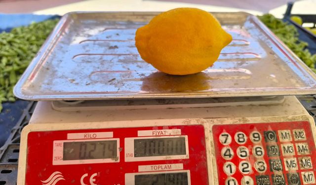 Limonun Tanesi 27 Lira: Halk tek tek alıyor