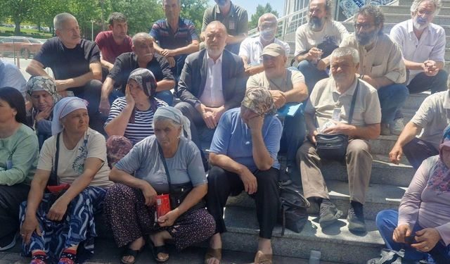 "Toprağımızı vermiyoruz": Zeytinlik direnişi meclis’te