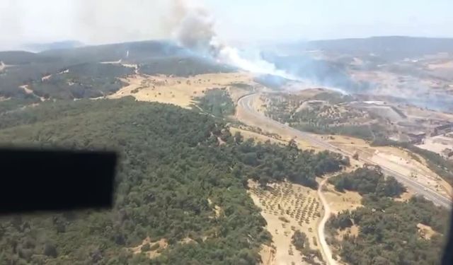 İzmir Foça’da orman yangını