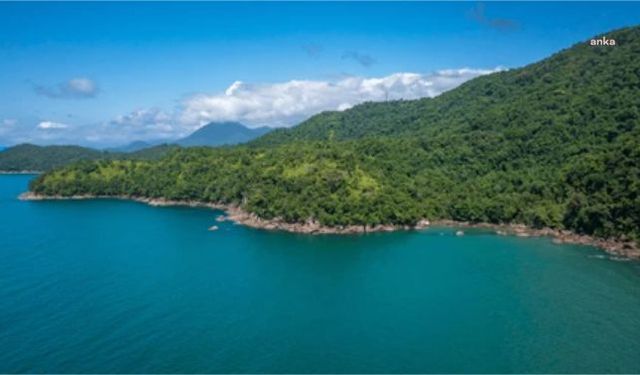 Denize sıfır orman alanlarına turizm izni