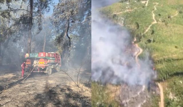 Antalya’da orman yangınları:Ekipler müdahale ediyor