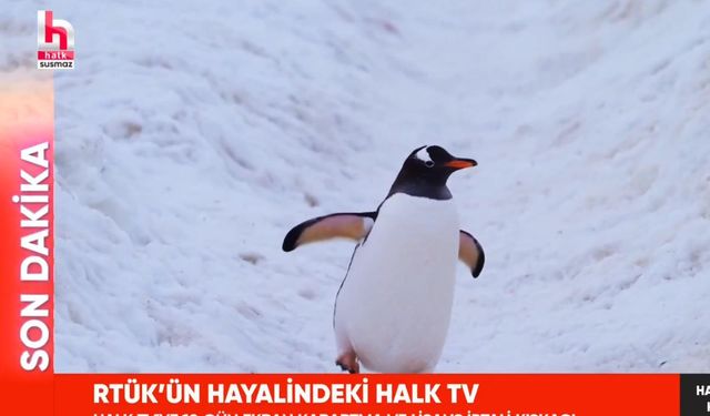 Halk TV’den yayın cezasına penguenli gönderme