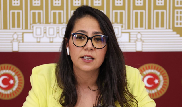 Sera Kadıgil: “Bu milletvekili halka değil, şirketlere çalışıyor”