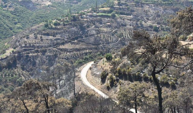 Orman yangınlarının ardından yeni tehlike: Erozyon ve heyelan riski