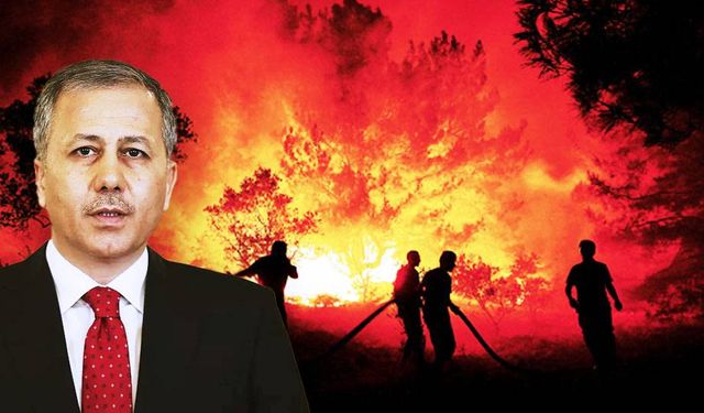 Orman yangınları kapsamında 27 kişi tutuklandı, Bilecik ve İzmir etkili afet bölgesi ilan edildi