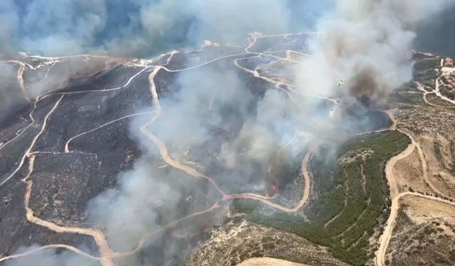 Çeşme’deki orman yangını kontrol altına alındı