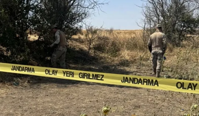 Edirne'de tarlada kadın cesedi bulundu