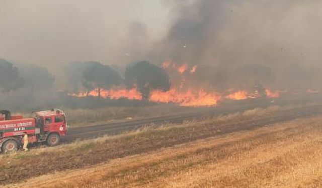Silivri’de orman yangını: 50 hane tahliye edildi