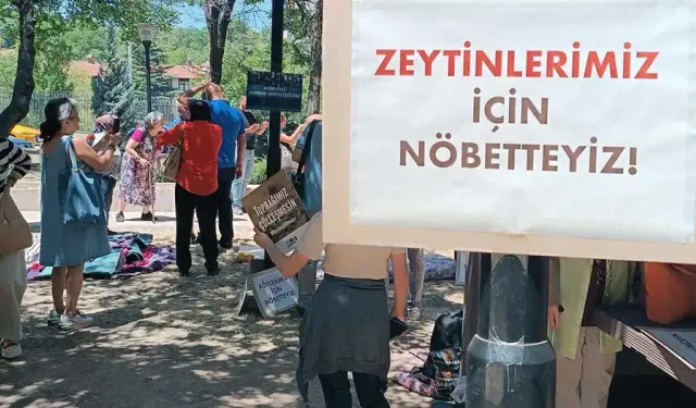 Zeytinlikleri için direnen köylüler açlık grevine başladı