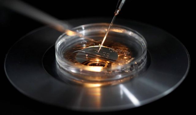Teknoloji elitleri IQ’su yüksek bebekler için servet ödüyor