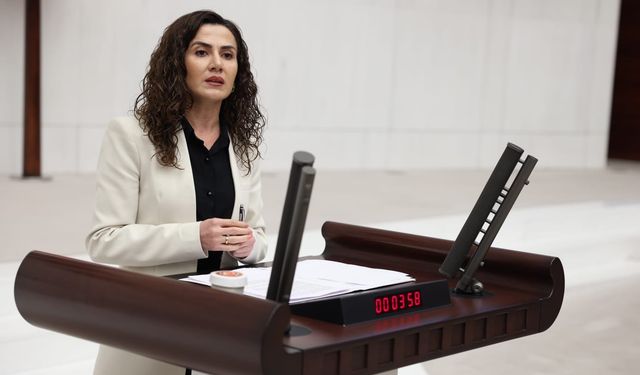 Sümeyye Boz: Yaz tatili bakım krizi araştırılsın